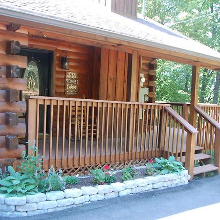 His Promises Cabin Pigeon Forge Buitenkant foto